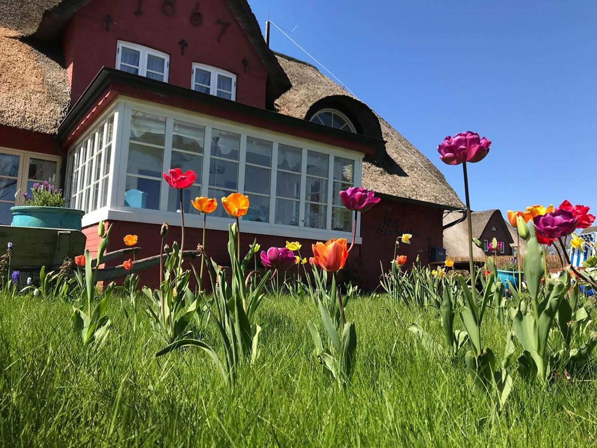 Hues Sanskiin Ferienwohnung *Driiwholt* Suddorf Экстерьер фото